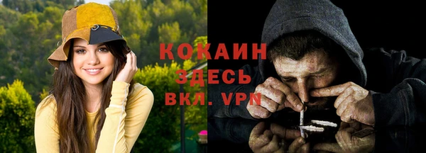 прущие грибы Нея