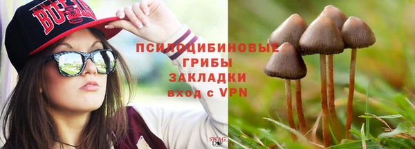 трава Надым