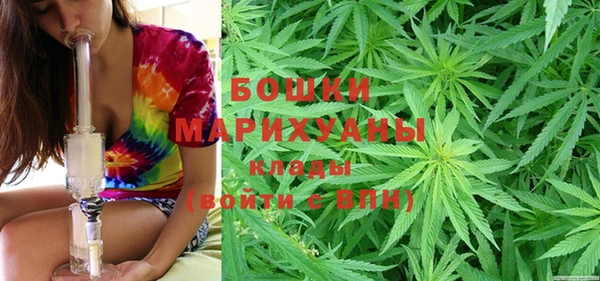 трава Надым