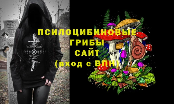 прущие грибы Нея