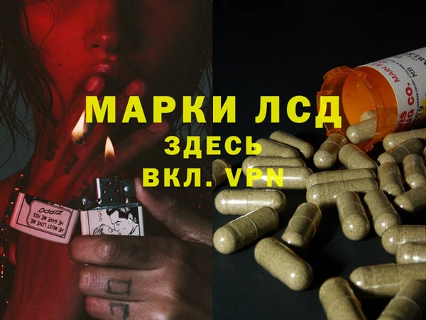 трава Надым