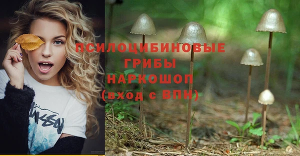 прущий лед Навашино