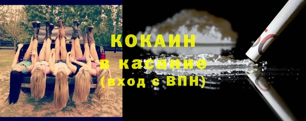 трава Надым