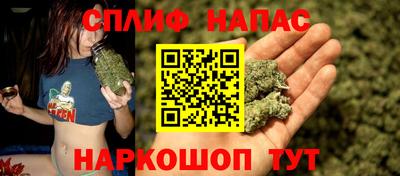 PSILOCYBIN Донской