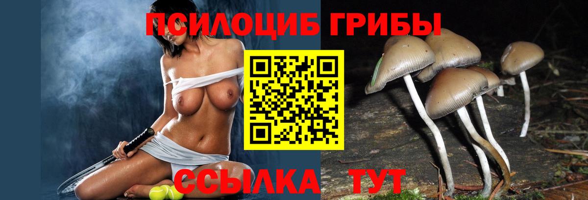 Рассказово  Галлюциногенные грибы прущие грибы  Вход с VPN 